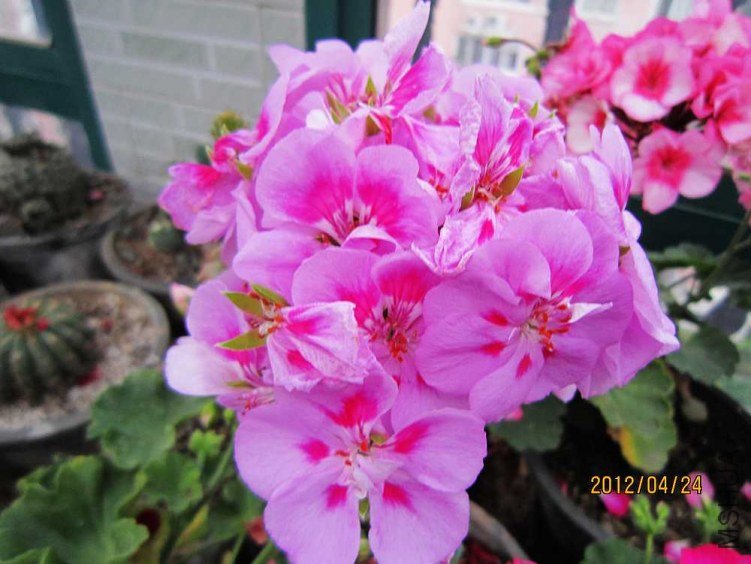 ֱ����-ˮ�� (2).jpg