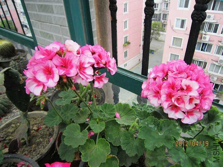 ֱ����-�س����� (2).jpg