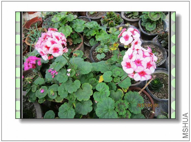 ֱ����-�س����� (1).jpg