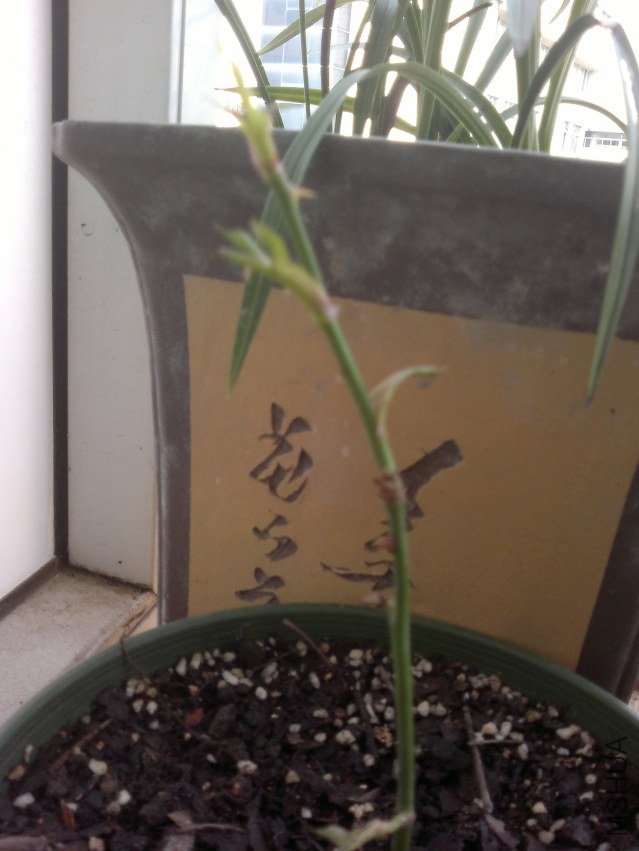 20120504407.jpg