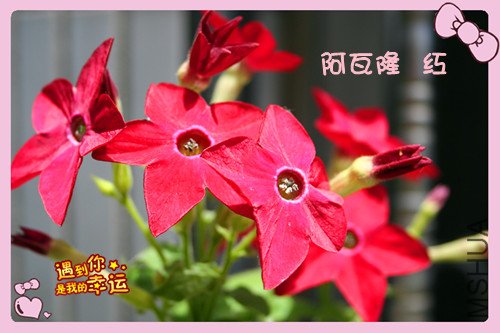 ��Ƭ 022_������3.jpg