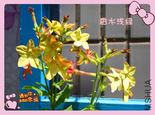 ��Ƭ 016_����4.jpg