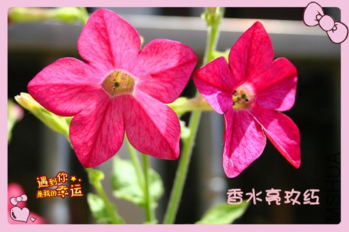 ��Ƭ 023_����6.jpg