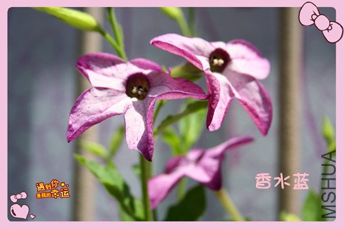 ��Ƭ 019_����7.jpg