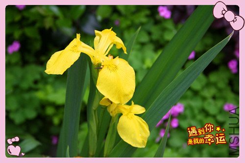 ��Ƭ 052_����ˮ��.jpg