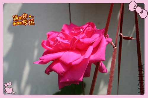 ��Ƭ 081_�����´�1.jpg