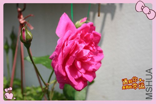 ��Ƭ 082_�����´�2.jpg