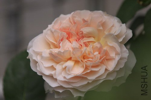 2012��ܽ��.JPG