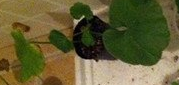 QQ��ͼ20120507235955.png