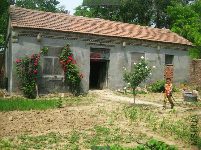 nEO_IMG_��Ƭ 081.jpg