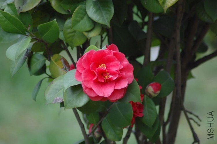 DSC_06440644.JPG