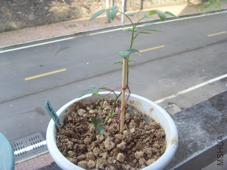 SDC10059.JPG