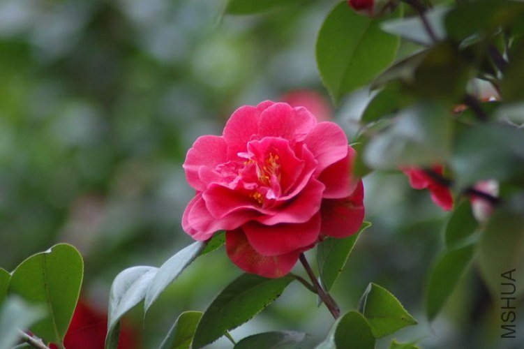 DSC_06080608.JPG