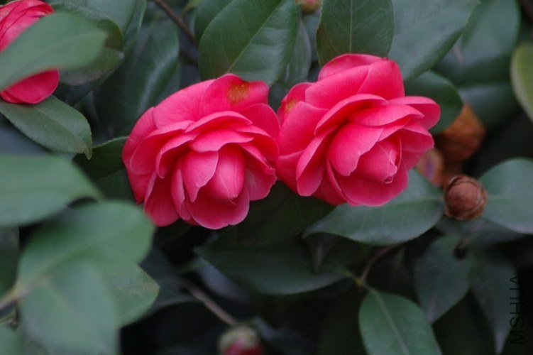 DSC_04190419.JPG