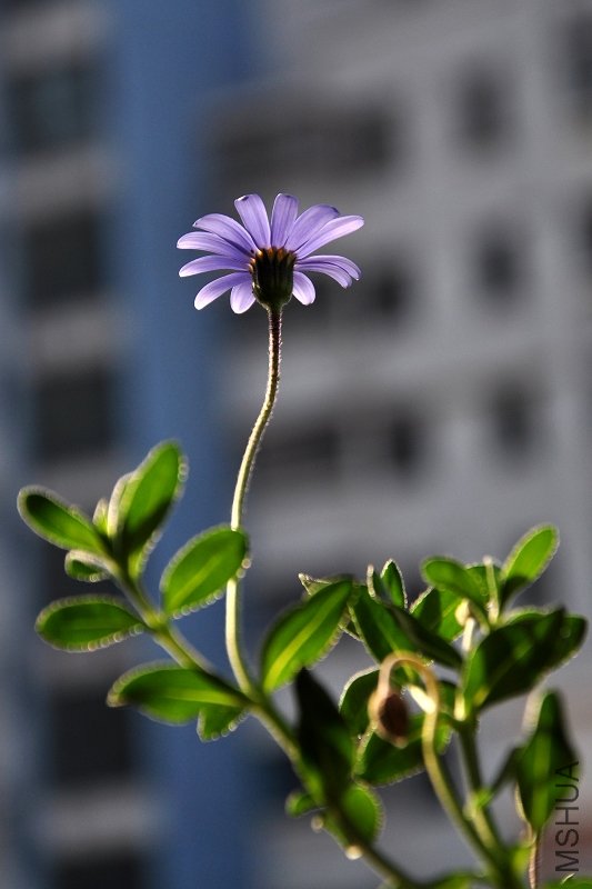 DSC_3914.jpg