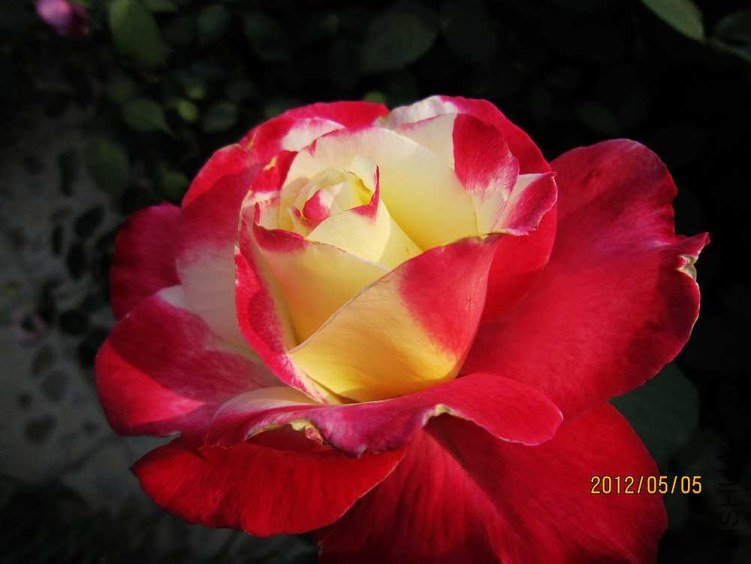 IMG_4146.jpg