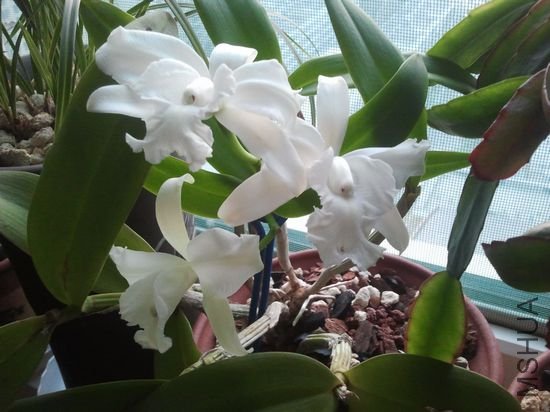 nEO_IMG_2012-05-04 05.45.48.jpg