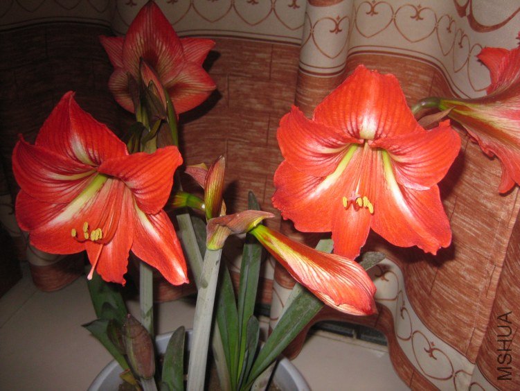 IMG_5947.JPG