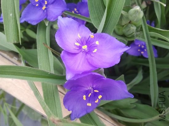nEO_IMG_2012-05-07 06.28.25.jpg