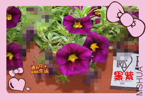 ��Ƭ 026_������10.jpg