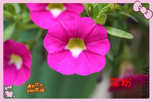 ��Ƭ 039_������1.jpg