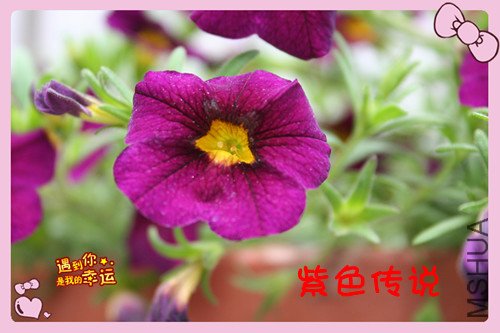 ��Ƭ 040_������2.jpg