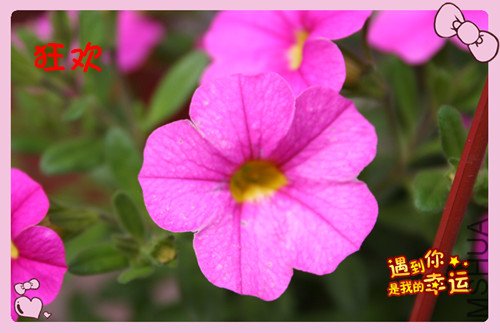 ��Ƭ 044_������11.jpg