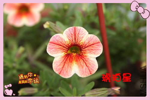 ��Ƭ 047_������3.jpg