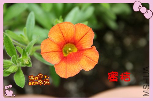 ��Ƭ 049_������4.jpg