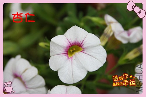 ��Ƭ 051_������5.jpg