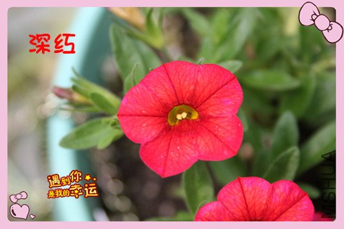 ��Ƭ 053_������6.jpg