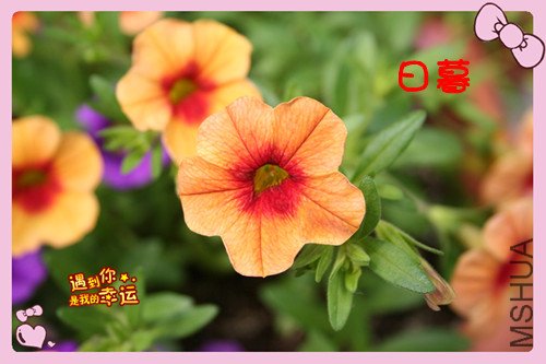 ��Ƭ 057_������7.jpg