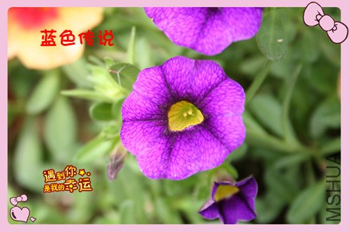 ��Ƭ 058_������8.jpg