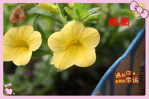 ��Ƭ 061_������9.jpg