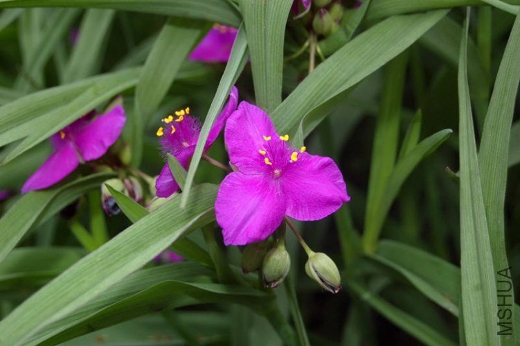 DSC_00410041.JPG