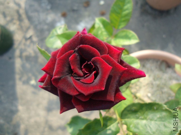 ������ (3).jpg