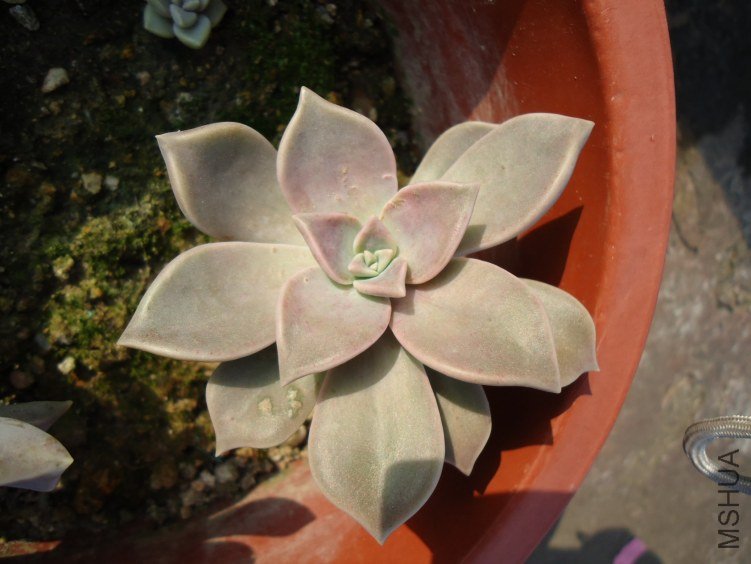 ���� (1).jpg