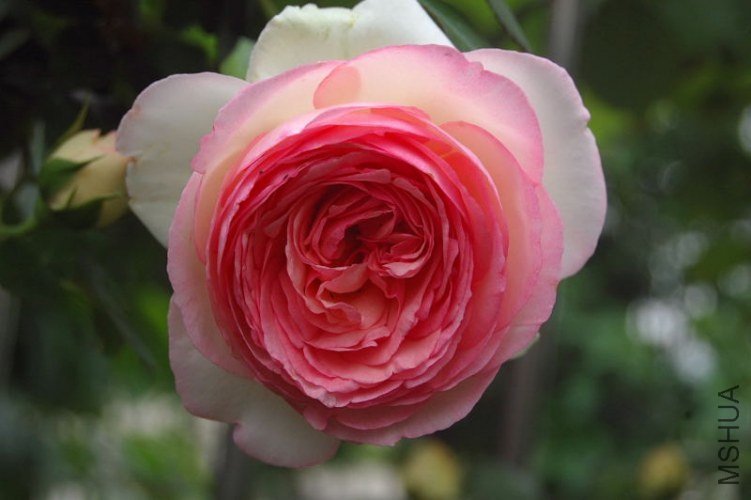 DSC_00290029.JPG