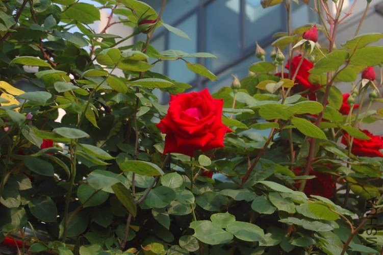 DSC_01290129.JPG