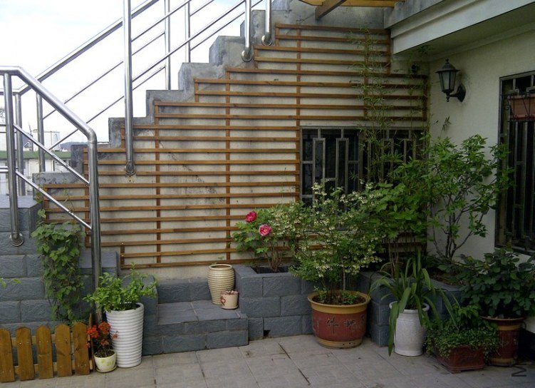 IMG-20120410-01154.jpg