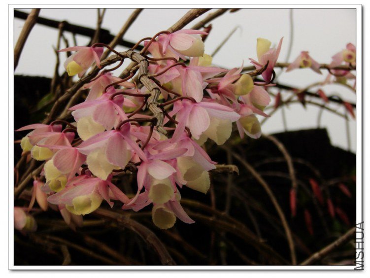 �칬ʯ�� (1).jpg