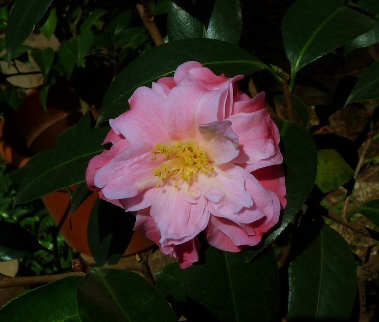 P1440036.jpg