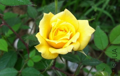 IMG_1000000639.JPG
