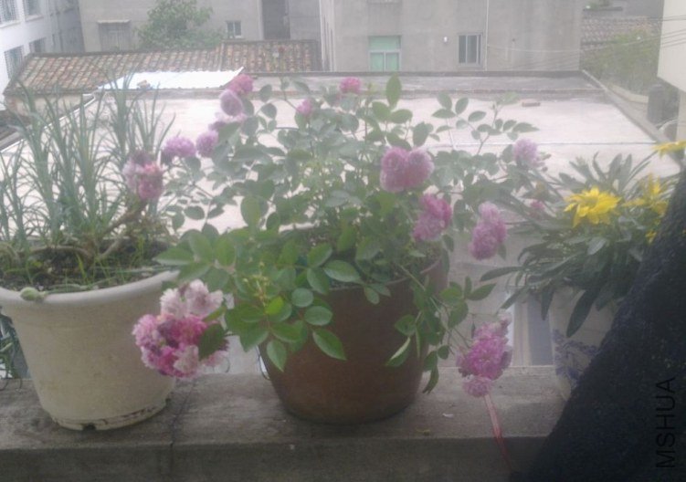 һ�����ں�