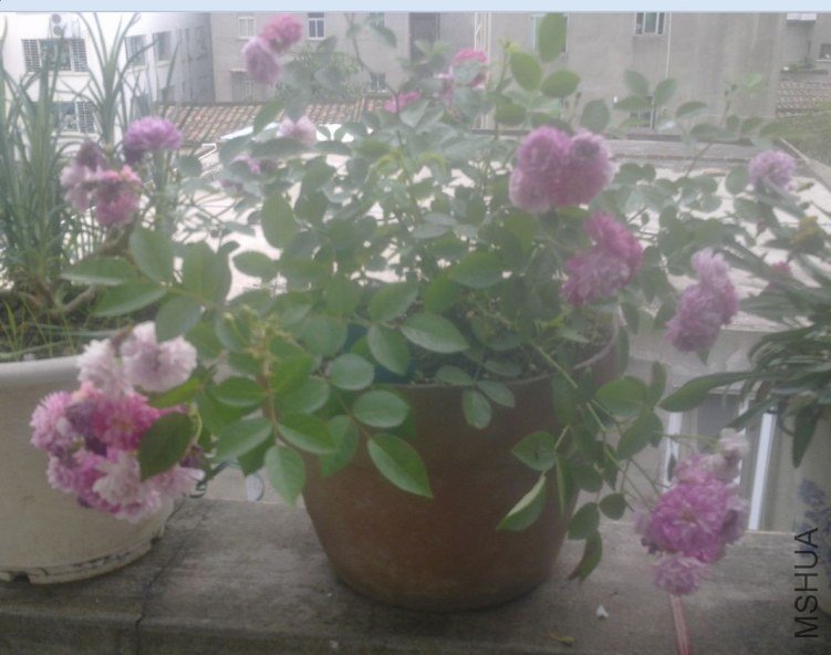 һ�����ں�