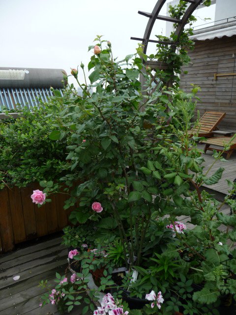 P1230035.JPG
