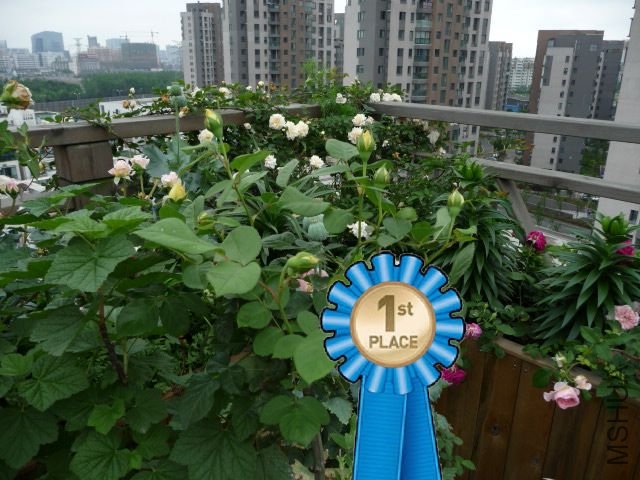 P1230032.JPG