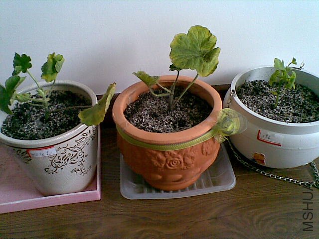 20120509(003).jpg