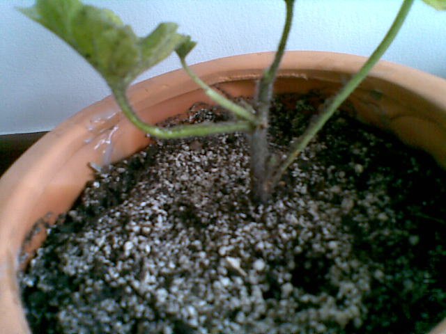 20120509(004).jpg