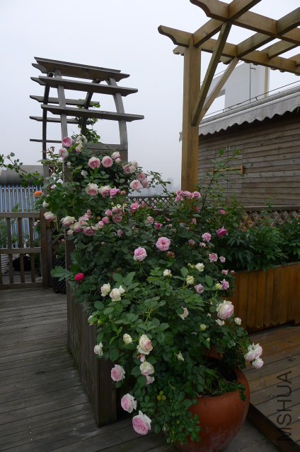 P1030449.JPG
